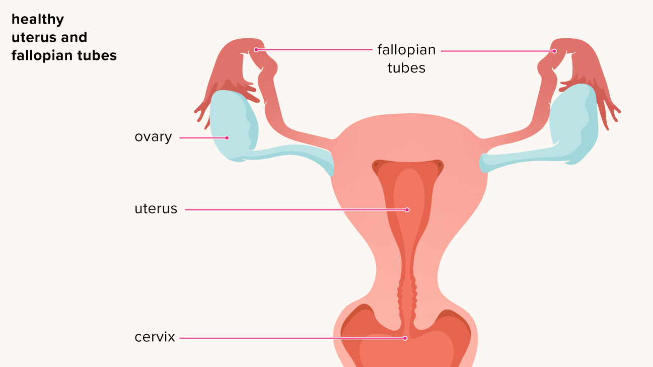 pelvic-inflammatory-disease-risk-factors-symptoms-treatments-ihr