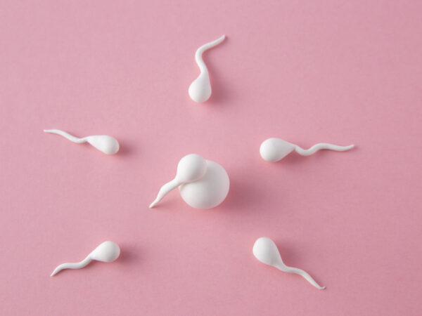 How To Increase Sperm Count?