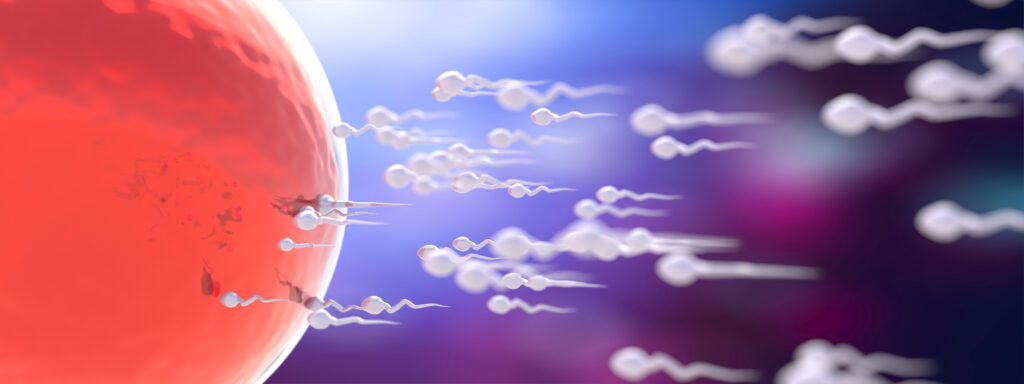 sperm count