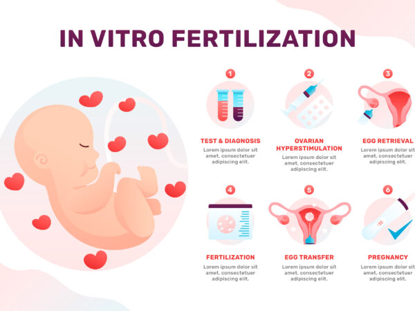 Signs Your IVF Cycle Might Be Successful